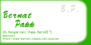 bernat papp business card